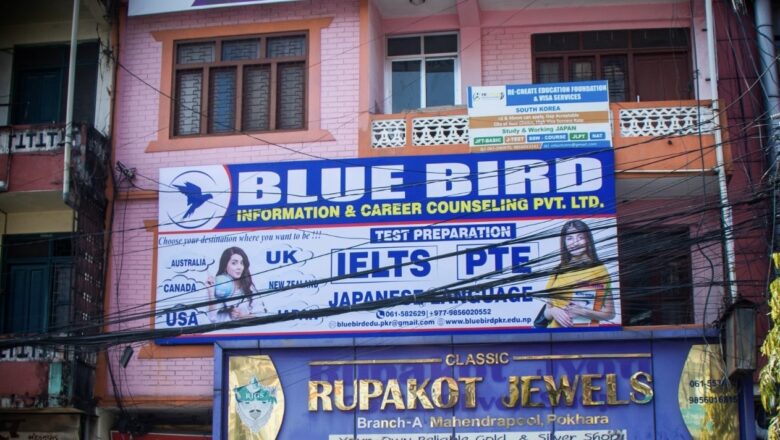 ब्लु बर्ड इन्फर्मेसन एन्ड करियर काउन्सेलिङद्वारा  ‘यूके इन्फो सेसन २०२६’ सफलतापूर्वक सम्पन्न